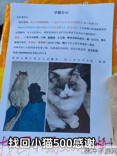 我的猫咪去哪儿了官方下载,清新治愈,寻猫之旅的休闲新选择