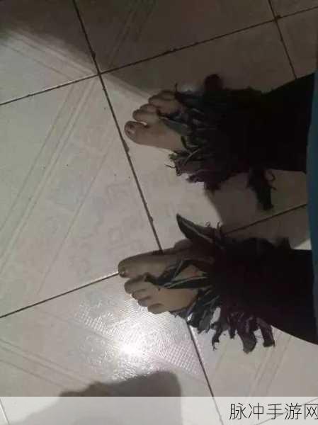 天天上厕所,解锁手机休闲新魔性,快来下载体验!