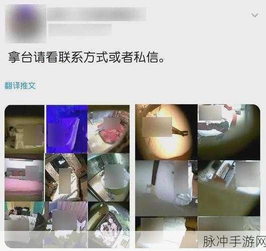 国产网址卡