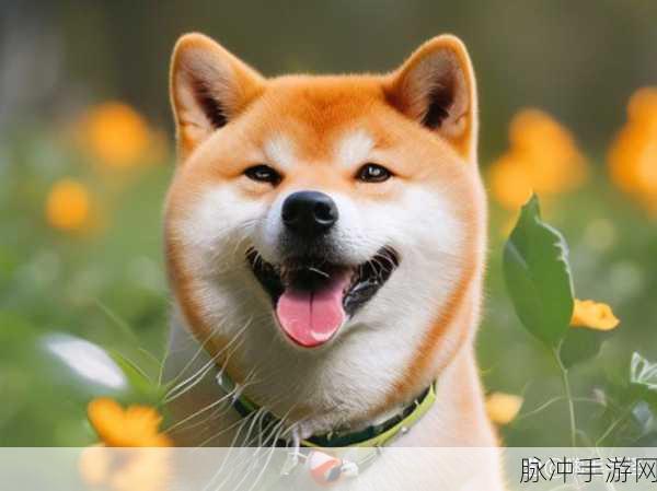 我的第一次给了家狗狗：当然可以！这里有一些新的标题建议，供你参考：