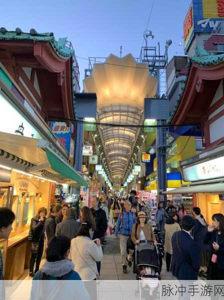 一二三四日本高清社区5:1. 深入探讨一二三四日本高清社区的文化魅力