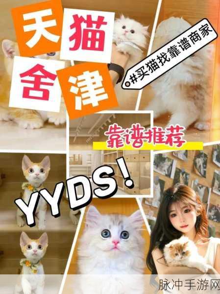 养猫合成记,萌宠经营,打造你的梦幻猫舍