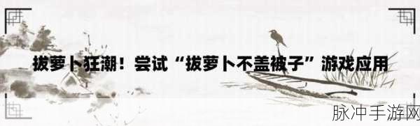 拔萝卜打牌不:拔萝卜打牌:友谊与智慧的较量游戏