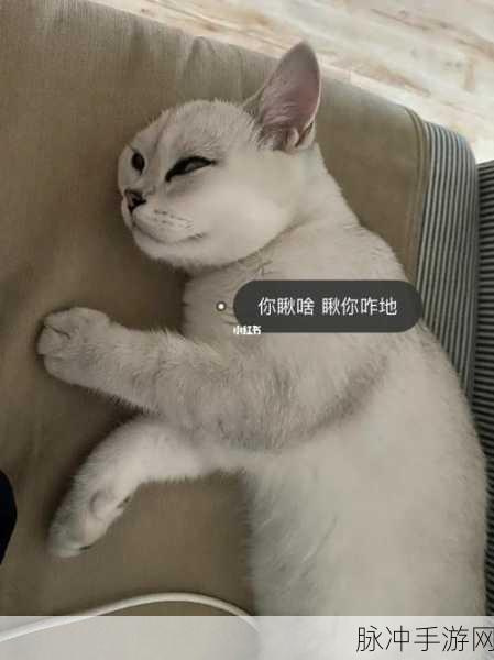 岳故意装睡让我进去:1. 岳故意装睡的背后故事:秘密与微妙的游戏