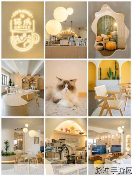 萌猫逐梦生肖界,日系休闲新游等你来探
