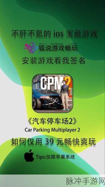 停车恐慌,解锁休闲游戏新乐趣,挑战你的停车极限