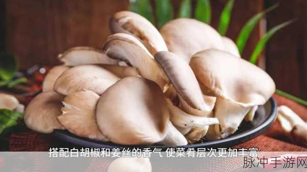 mogu蘑菇吃瓜:1. 蘑菇吃瓜趣闻:夏季清凉美食大揭秘