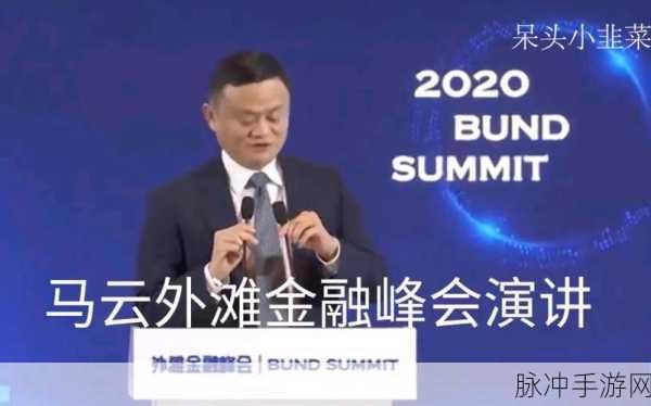 马云外滩金融峰会讲话错在哪里:马云外滩金融峰会讲话中的误区与反思探讨