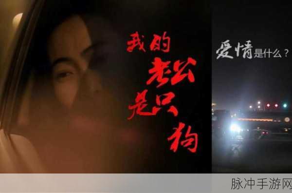 我的老公是条狗山本一郎大黑的：1. 我的老公是条狗，生活的奇妙冒险