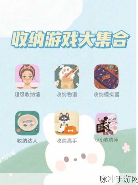 梦幻衣橱大挑战,少女装扮收纳游戏新体验