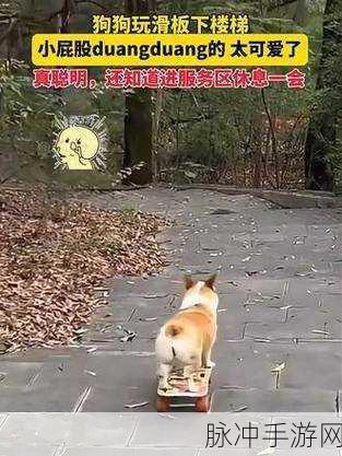 合成小狗狗,萌宠养成新风尚,休闲益智两不误