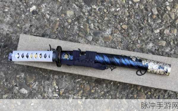乙女剑武藏,浪漫学园与武士之魂的梦幻交织