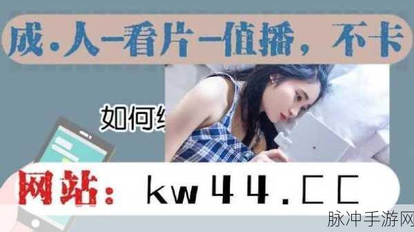 成品网站w灬源码16：1. 深入解析w灬源码16的功能与应用