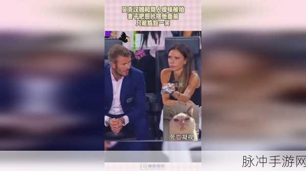 17c17一起草 国卢：好的，以下是根据“17c17一起草”主题扩展出的新标题建议，每个标题不少于10个字：