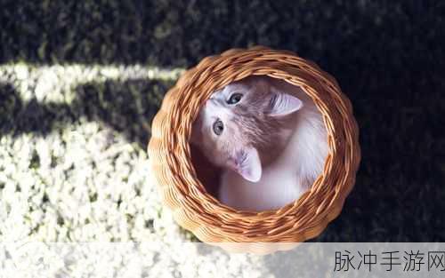 萌宠集结,策略制胜!猫咪大陆带你领略喵星人的奇幻之旅