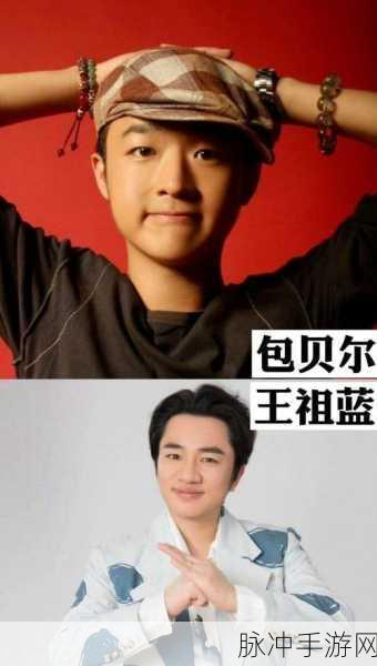 王祖蓝和包贝尔:1. 王祖蓝与包贝尔:搞笑搭档的精彩瞬间