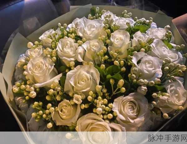 旅行者和丽莎拔萝卜：1. 《旅行者与丽莎的奇妙萝卜探险