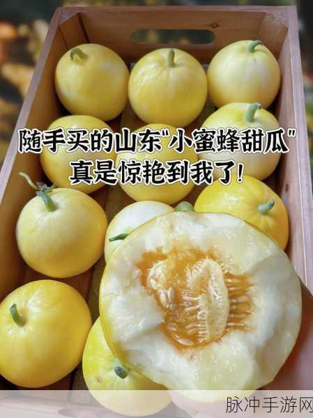 吃瓜网站推荐哪个好:1. “吃瓜网站推荐:哪些美食让你欲罢不能?”