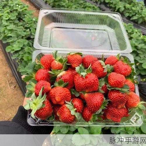 草莓视频你懂的:当然可以!以下是一些关于草莓视频的扩展标题建议: