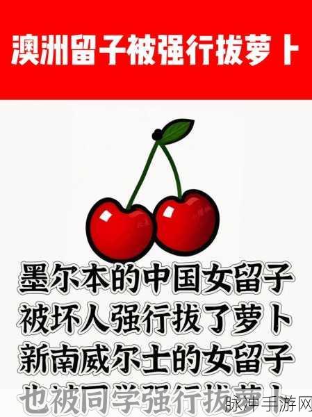 拨萝卜打牌不盖被子可以吗:1. 拨萝卜与打牌:生活中的趣味哲学