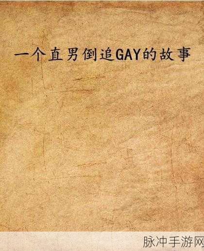 gg51 gay 黑料:1. 揭秘GG51:不为人知的黑料与真相