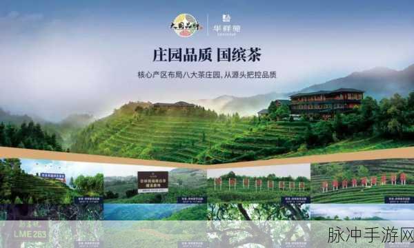 精产国品一二三产区区免费:1. 精产国品一二三产区的独特魅力与特色