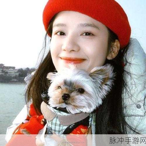把坤坤放在欧派上:1. 坤坤与欧派的奇妙搭配,展现时尚新风潮