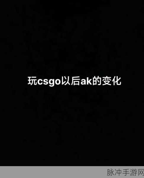 暴躁少女csgo最强角色推荐图:暴躁少女CSGO角色推荐:实力与风格并存的最佳选择