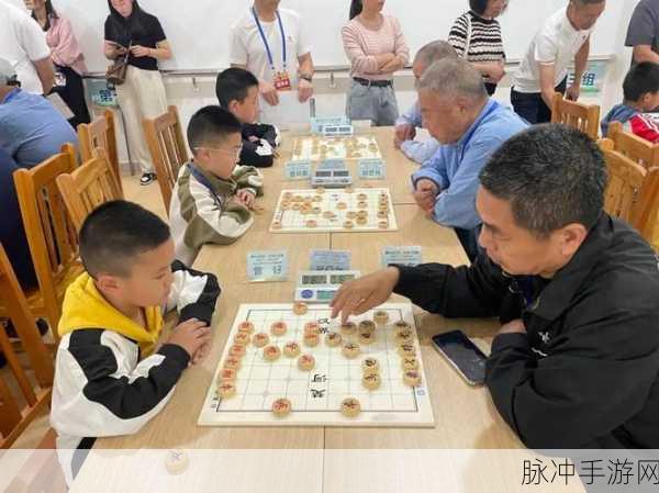 万宁象棋焕新登场,休闲对弈乐无穷