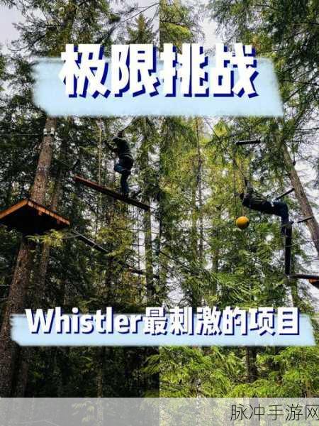 Clawbert安卓版来袭,萌趣抓娃娃,挑战你的抓取技巧