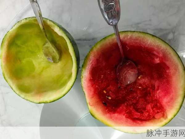 51吃瓜网-热心的朝阳群众5:1. 热心朝阳群众揭秘51吃瓜网背后的故事