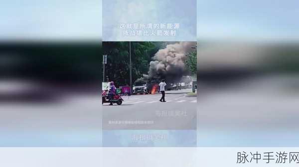 贰佰仙踪林金属信息网在线:1. 探索贰佰仙踪林背后的金属文化与传承