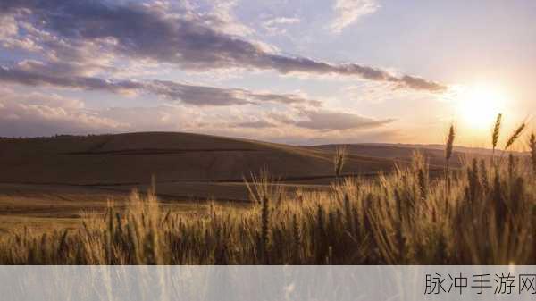大地资源网在线观看:1. 大地资源:探索无限可能的在线学习平台