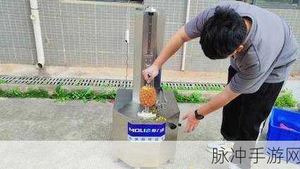 我削皮贼6,解锁瓜果削皮新乐趣,下载体验不停歇
