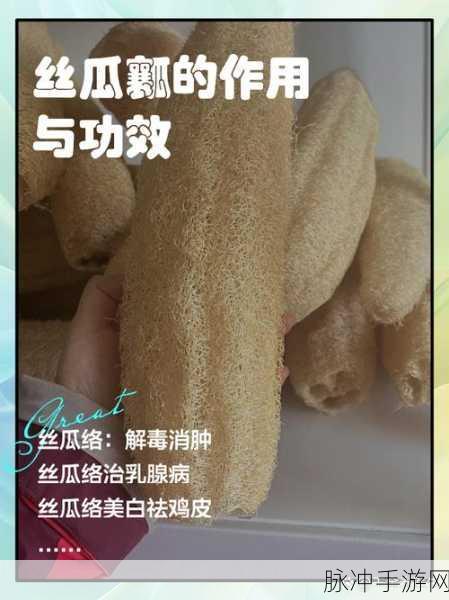 草莓 丝瓜卍绿巨人下站长:1. 草莓与丝瓜的奇妙搭配,绿巨人助你打造美味佳品