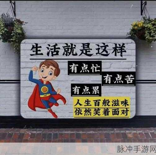抖音全民搬砖达人,休闲闯关新宠,挑战你的指尖智慧