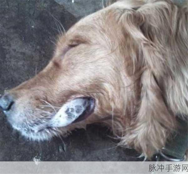 abw实验4痉挛口吐白沫是谁:1. "探讨痉挛口吐白沫的生理机制与临床意义