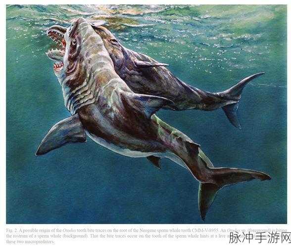 钶钶钶钶钶钶钶水好多好唯一:1. 钶钶钶钶钶水世界的神奇魅力