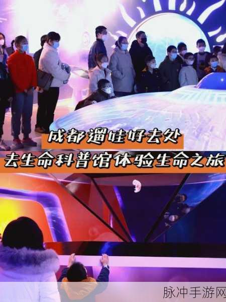 探索生命之旅,我的孩子生命之源内置菜单版深度体验