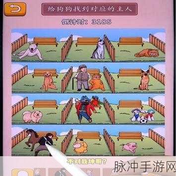 爆笑大宗师来袭,烧脑休闲闯关,挑战你的智慧极限!