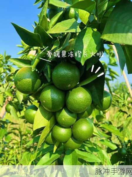 果冻传煤:1. 果冻传煤:创新技术助力绿色能源转型
