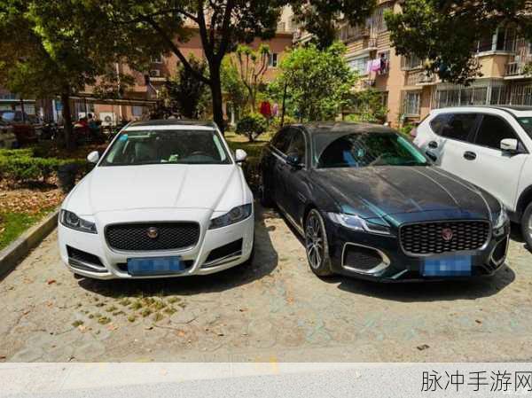 夜里十八款钦件：当然可以！以下是一些根据“夜里十八款钦件”拓展出的新