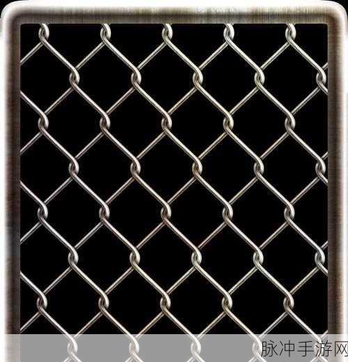 铁网蛛丝:1. 铁网蛛丝:自然界的精巧工程师