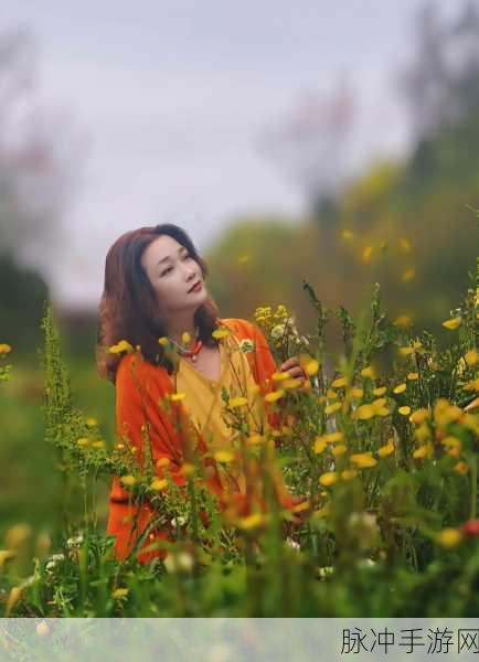 野花社区在线视频:1. 野花社区在线分享:探索自然之美与人文情怀