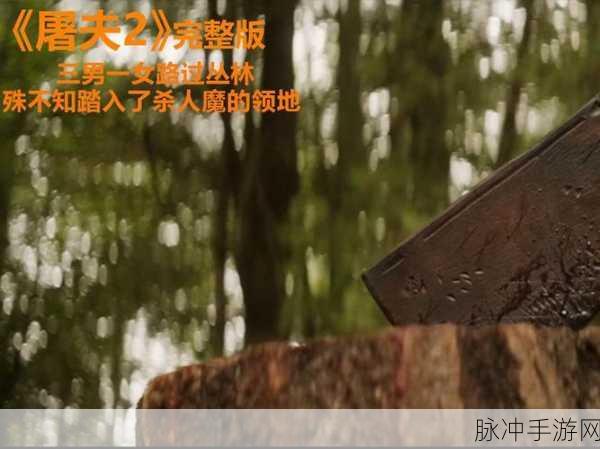 屠夫的领地,挑战你的逃脱与追捕智慧