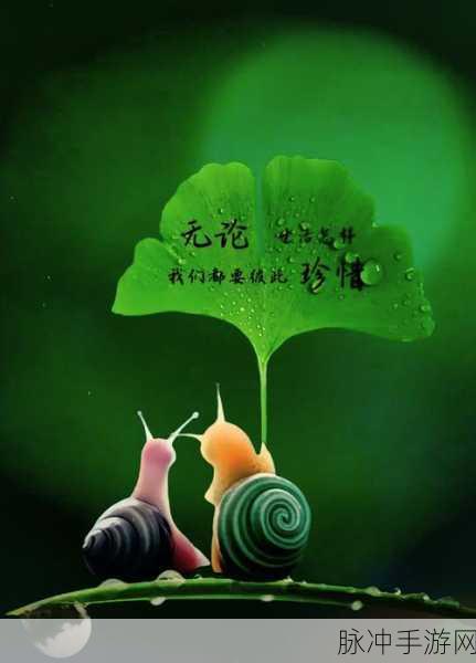 二人 上面一人 下感扇贝:1. 彼此心灵的交汇:探讨二人关系的深度解析