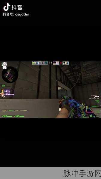 日本csgo大姐姐awp:日本CS:GO大姐姐AWP:将狙击技巧与魅力完美结合的传奇