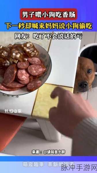 香肠大战，喂对方吃香肠，休闲对抗新潮流