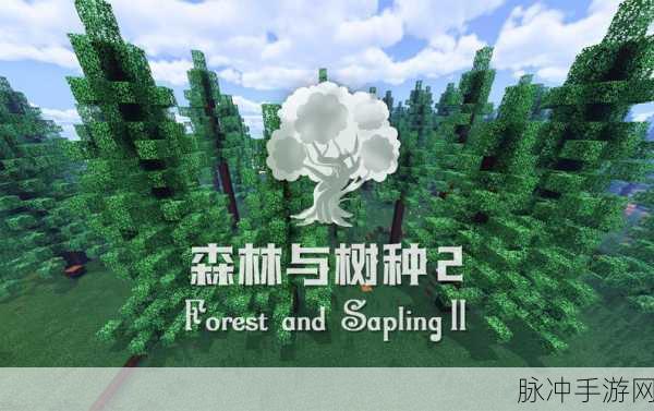 银河迷宫,探索未知,开启精美冒险之旅