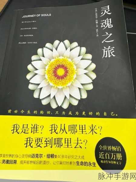 探索未知迷宫,追寻破碎灵魂之旅——世界迷宫破碎灵魂下载指南